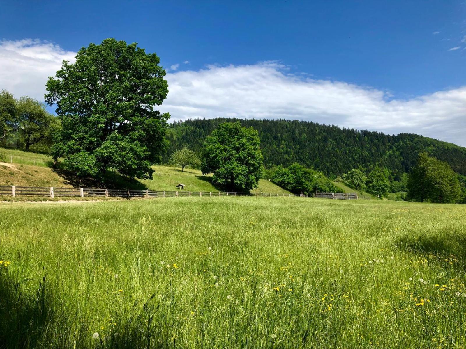 Glamping Savinja Hotel Ljubno ภายนอก รูปภาพ