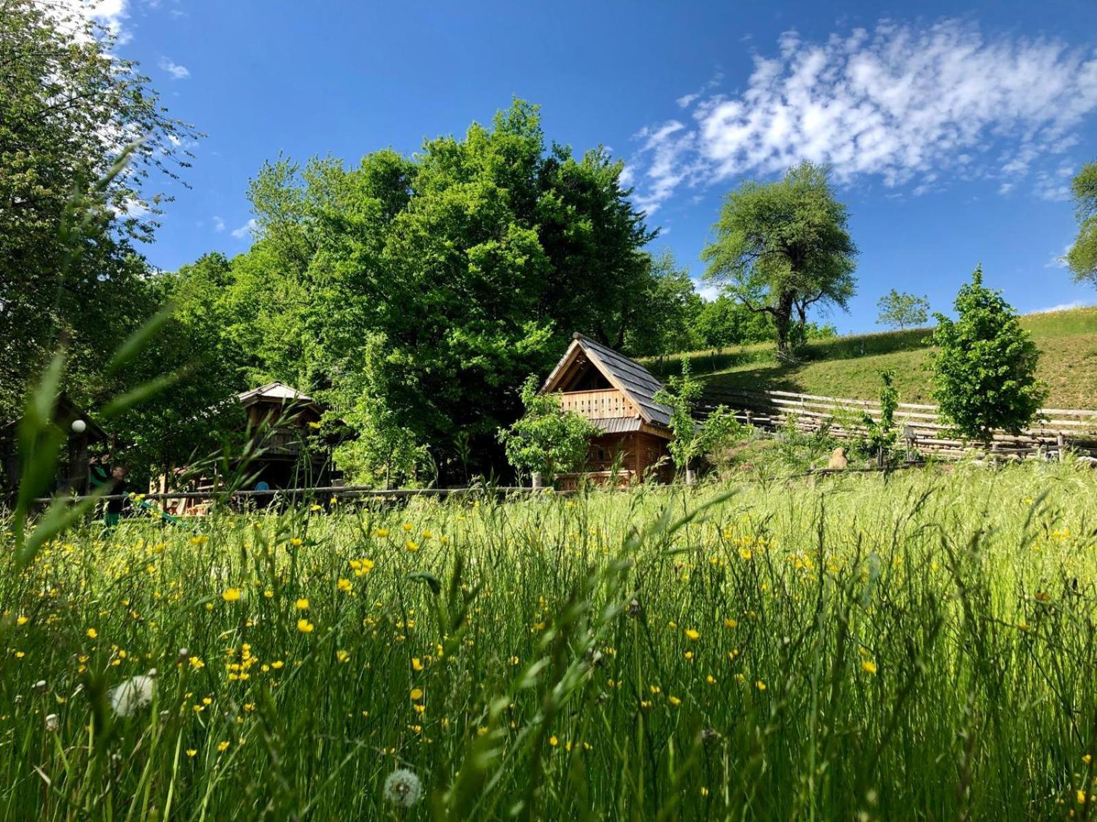 Glamping Savinja Hotel Ljubno ภายนอก รูปภาพ