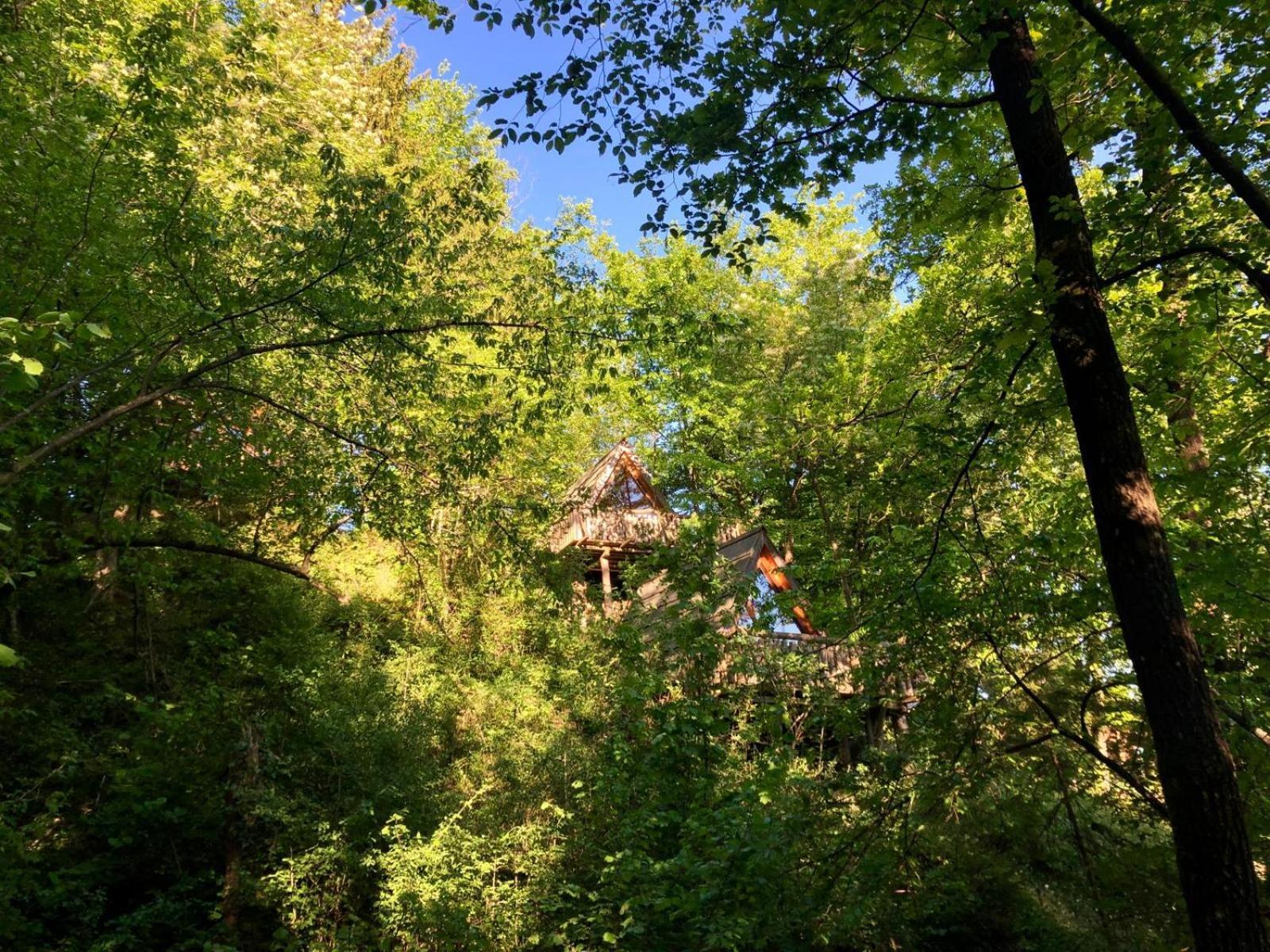 Glamping Savinja Hotel Ljubno ภายนอก รูปภาพ