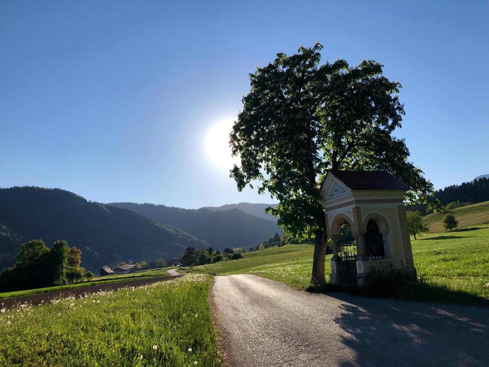 Glamping Savinja Hotel Ljubno ภายนอก รูปภาพ