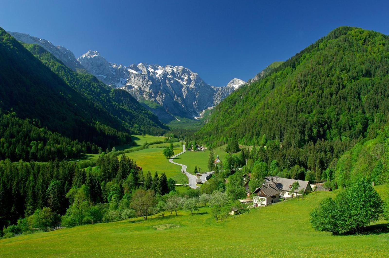 Glamping Savinja Hotel Ljubno ภายนอก รูปภาพ