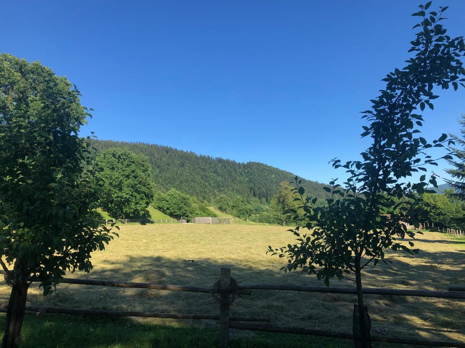 Glamping Savinja Hotel Ljubno ภายนอก รูปภาพ